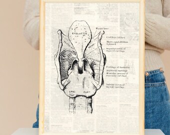 May include: A vintage anatomical illustration of the human larynx, showing the epiglottis, thyroid cartilage, cricoid cartilage, and other structures. The image is in black and white and has a detailed, scientific style.