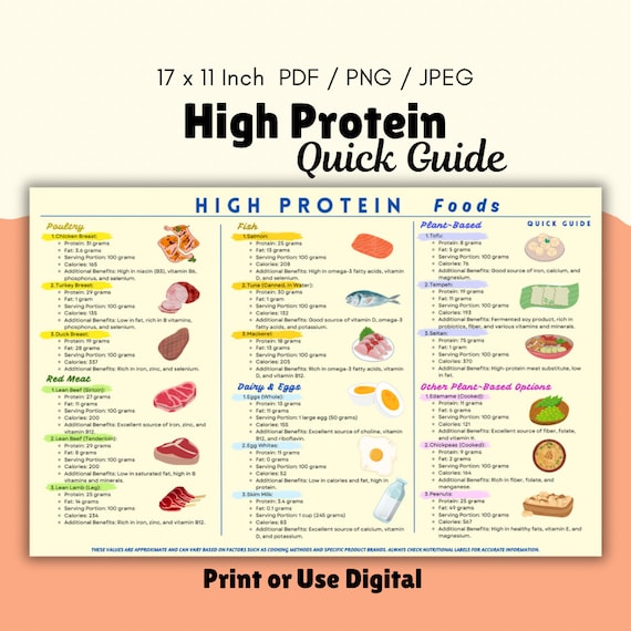 high protein diet plan