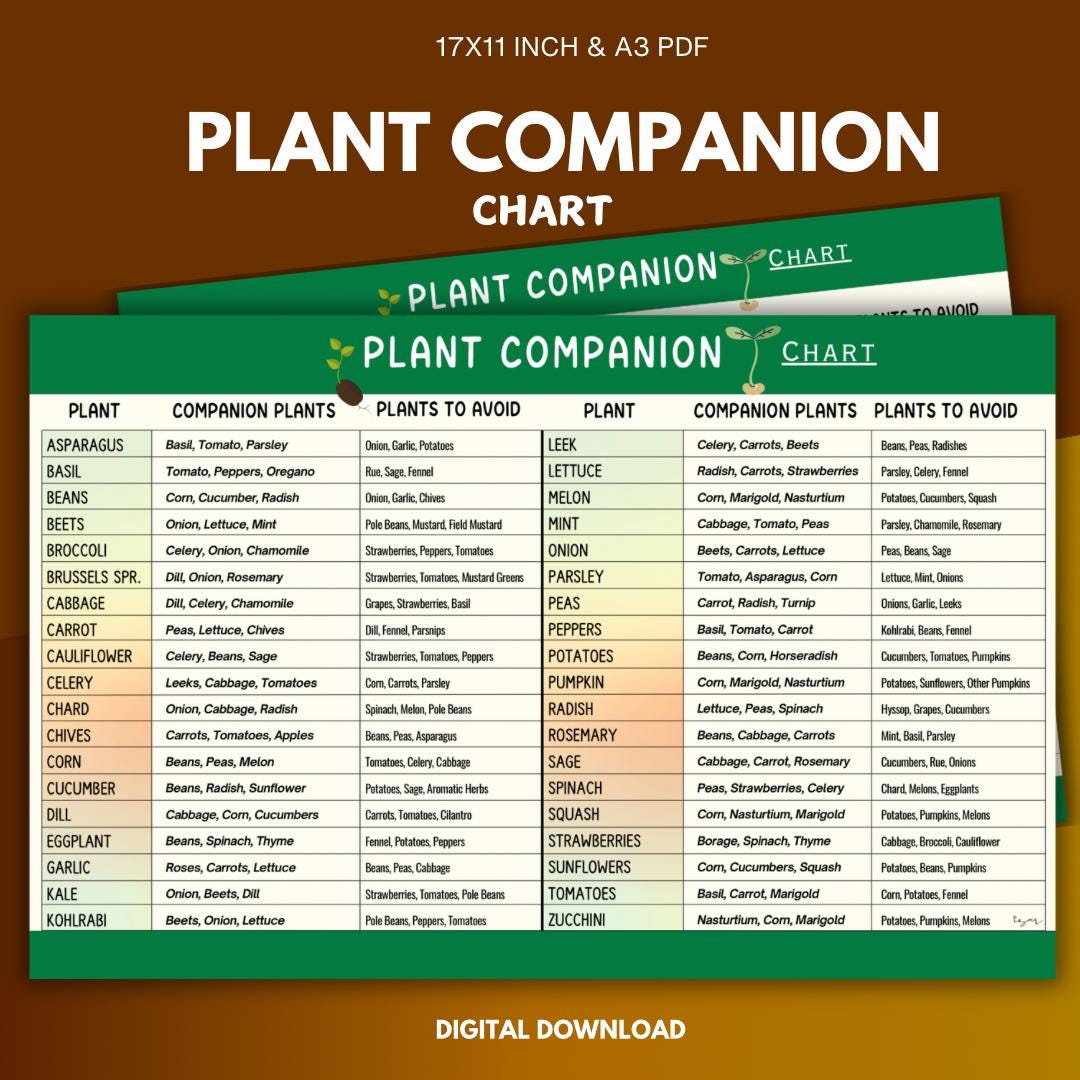 Vegetable Companion Planting Guide.pdf Vegetable Companion Planting Chart: Garden Planner Printable (PDF ...