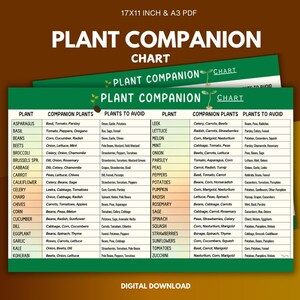 Vegetable Companion Guide, Companion Planting Chart Printable, Garden Planner, Planting Guide, Gardening Cheat Sheet, Organic Garden Planner