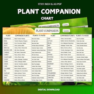 Companion Planting Chart Printable, Garden Planner, Vegetable Companion Guide, Planting Guide, Gardening Cheat Sheet, Organic Garden Planner