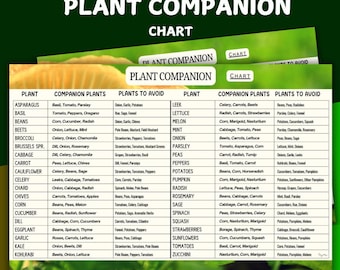 Companion Planting Chart: Vegetable Garden Planner (Printable PDF Guide)