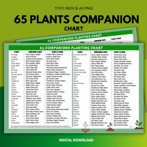 65 Plants Companion Guide, Companion Planting Chart Printable, Garden Planner, Planting Guide, Gardening Cheat Sheet, Organic Garden Planner