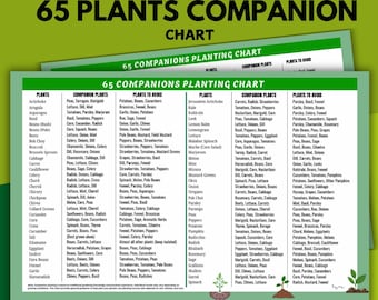 Tabla de plantas compañeras: 65 plantas, planificador de jardín (PDF imprimible)