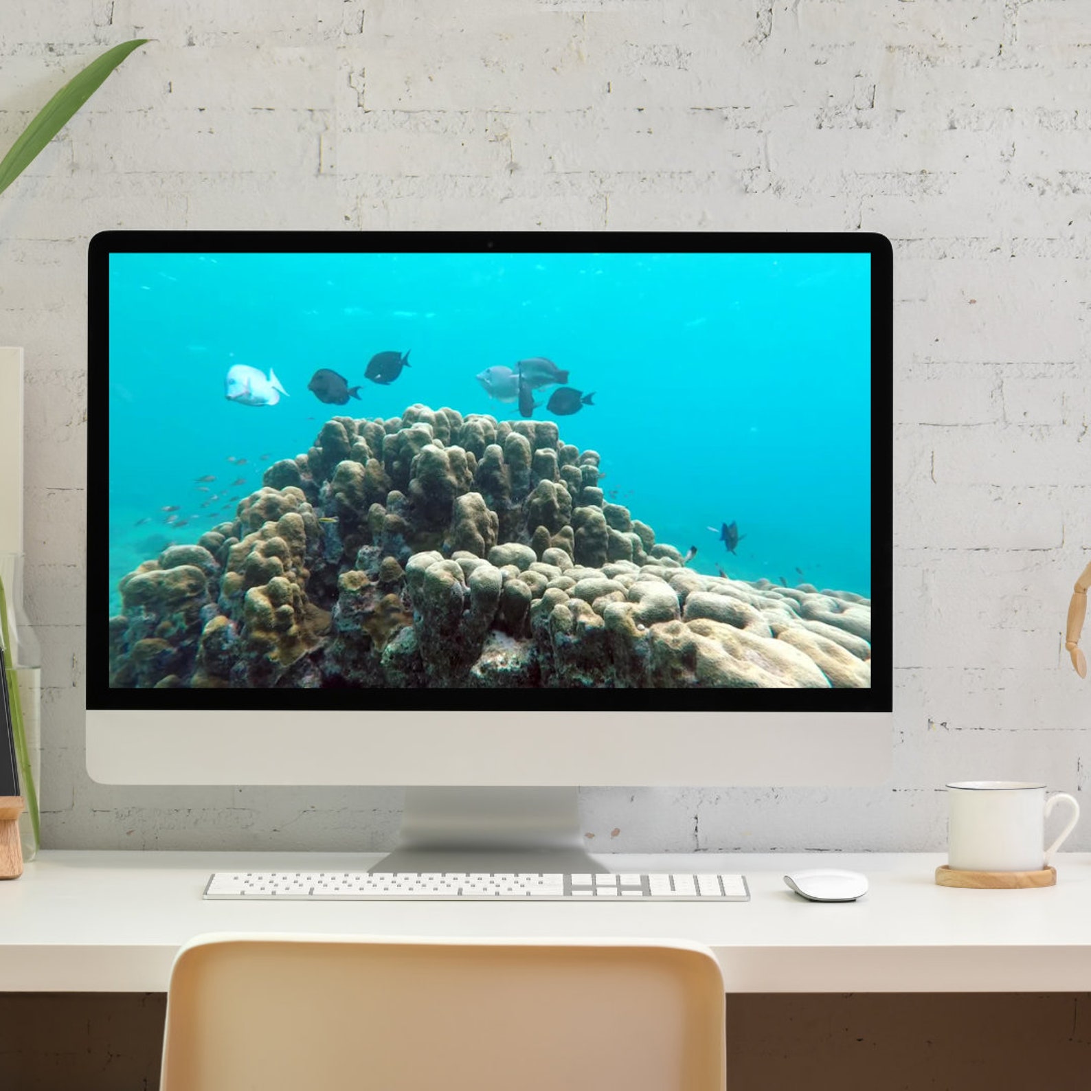 Zoom Background Video Fish Tank Digital Zoom Background Etsy