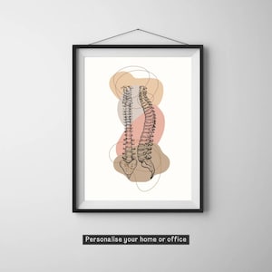 Spine Anatomy Poster, Chiropractor gift, Vertebral Column Print, Spinal Anatomy Art, Medical Poster, Digital Download