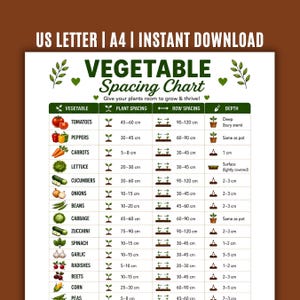 Peut inclure: Un tableau d'espacement des légumes imprimable sur fond marron. Il indique l'espacement des plantes, l'espacement des rangs et la profondeur de plantation en centimètres pour divers légumes, comme les tomates.