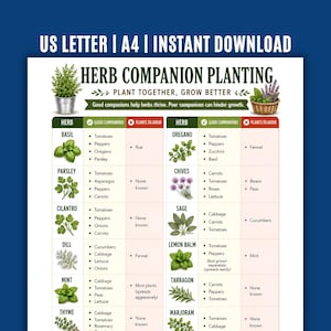 Könnte beinhalten: Ein druckbarer Kräuterbegleitpflanzenführer mit blauem Hintergrund. Die Tabelle listet Kräuter und ihre Begleitpflanzen mit Illustrationen jeder Kräuter auf. Der Text enthält oben "US LETTER | A4 | INSTANT DOWNLOAD".