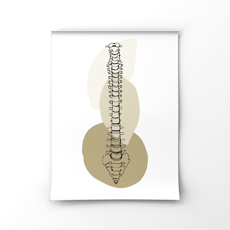 Minimal Spine Anatomy Art Print: Orthopedic Wall Decor (digital ...