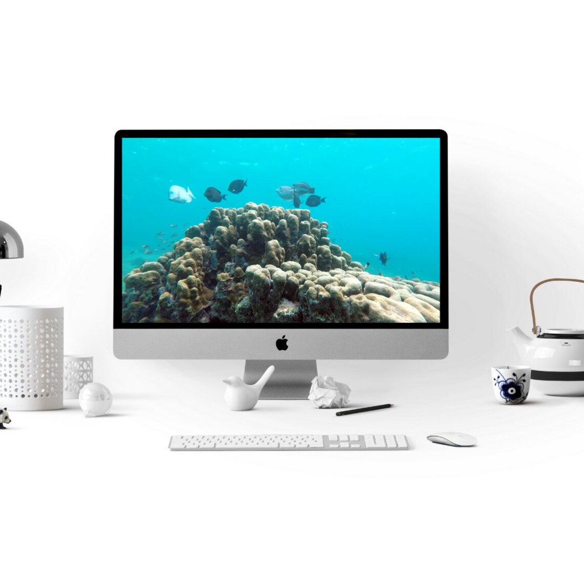 Zoom Background Video Fish Tank Digital Zoom Background Etsy