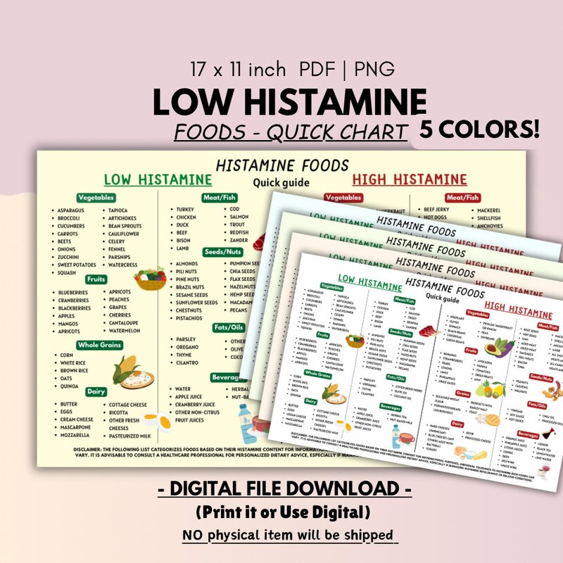 Low Histamine Food List - Etsy