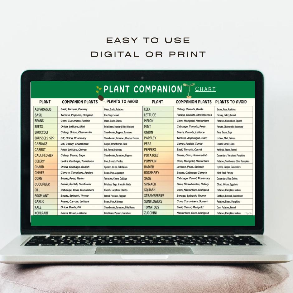 Vegetable Companion Planting Guide.pdf Vegetable Companion Planting Chart: Garden Planner Printable (PDF ...
