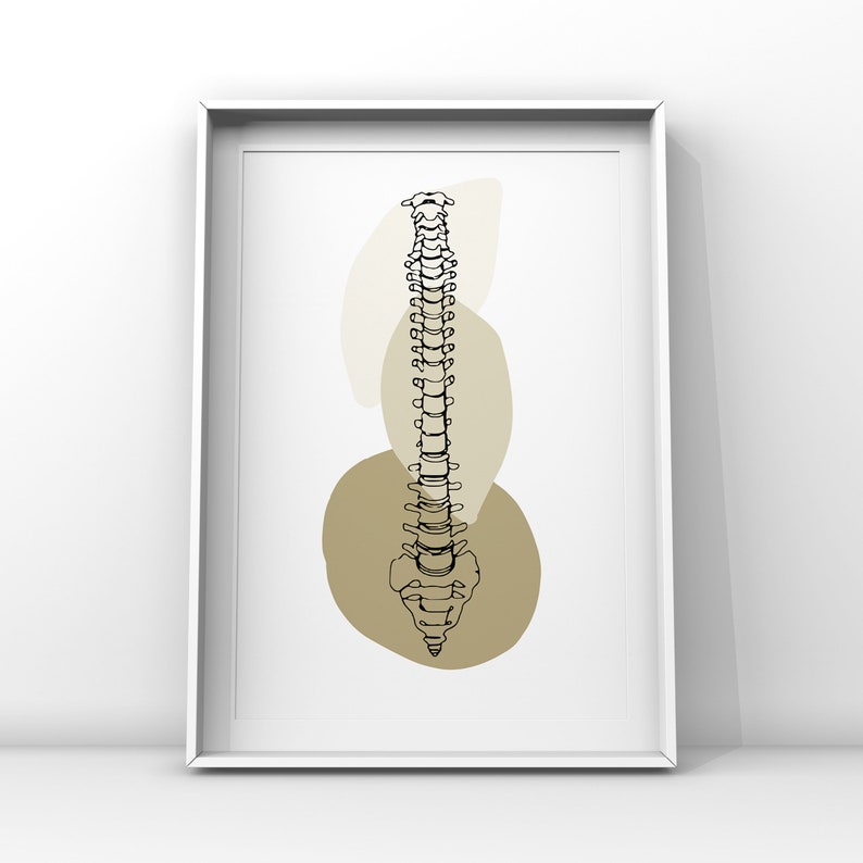 Minimal Spine Anatomy Art Print: Orthopedic Wall Decor (digital ...