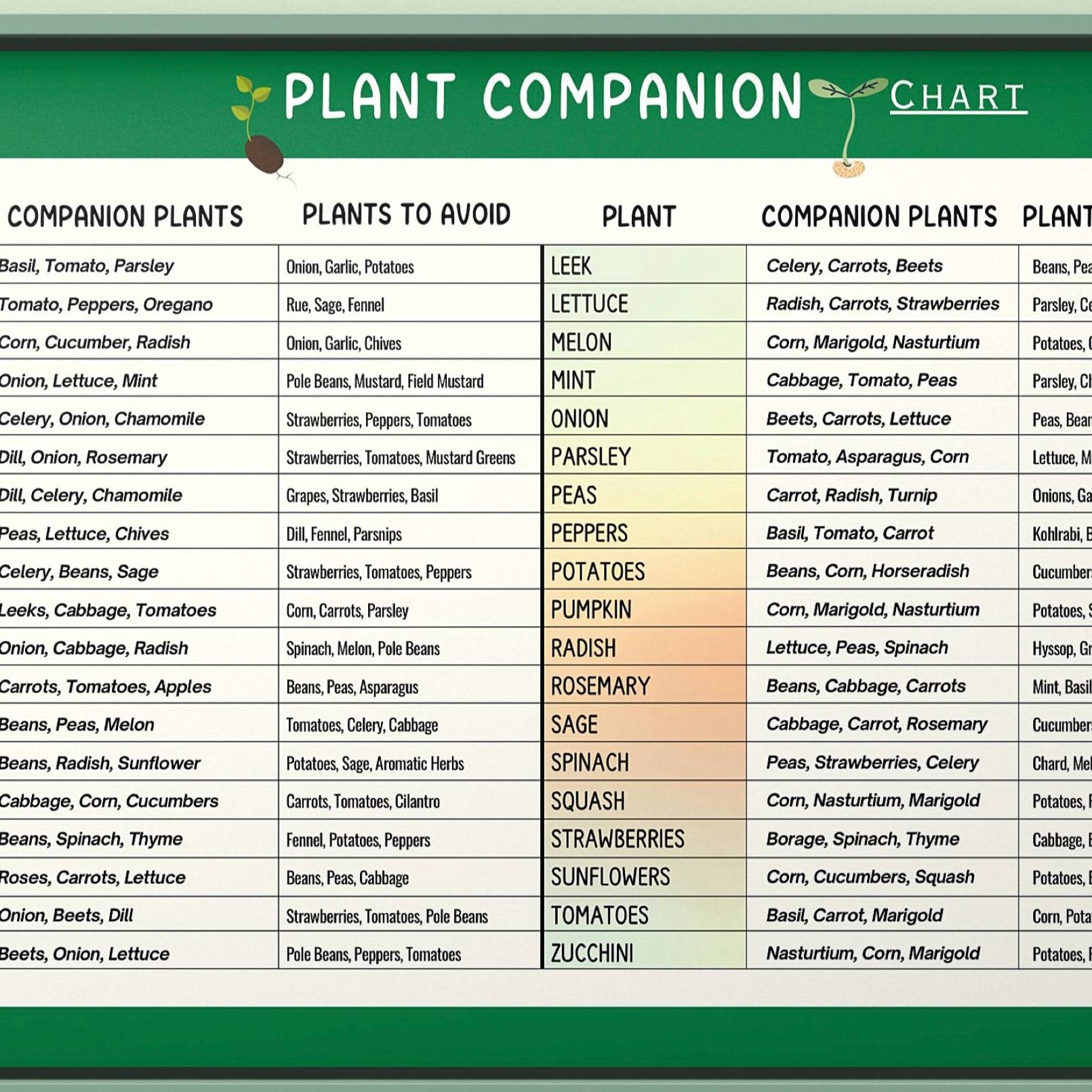 Vegetable Companion Planting Guide.pdf Vegetable Companion Planting Chart: Garden Planner Printable (PDF ...