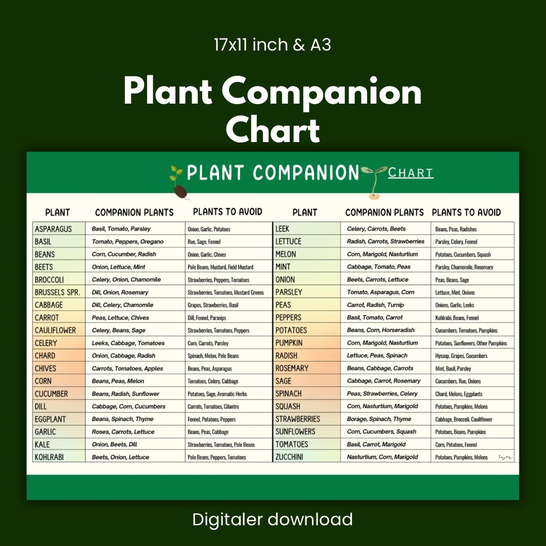 Vegetable Companion Planting Guide.pdf Vegetable Companion Planting Chart: Garden Planner Printable (PDF ...