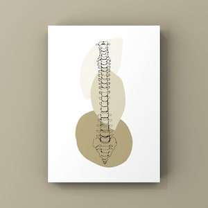 Minimal Spine Anatomy Art Print: Orthopedic Wall Decor (digital ...