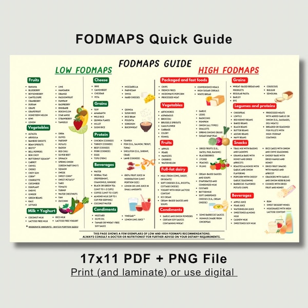 FODMAP Food List, Fodmap Diet Guide, Low Fodmap, High Fodmap List, IBS Diet Sheet, Irritable Bowel Syndrome, Fodmap Chart, Food Sensitivity