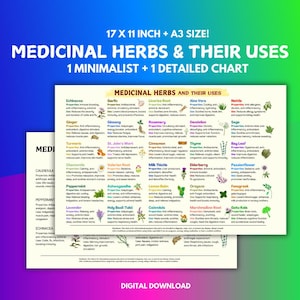 Medicinal Chart - Etsy