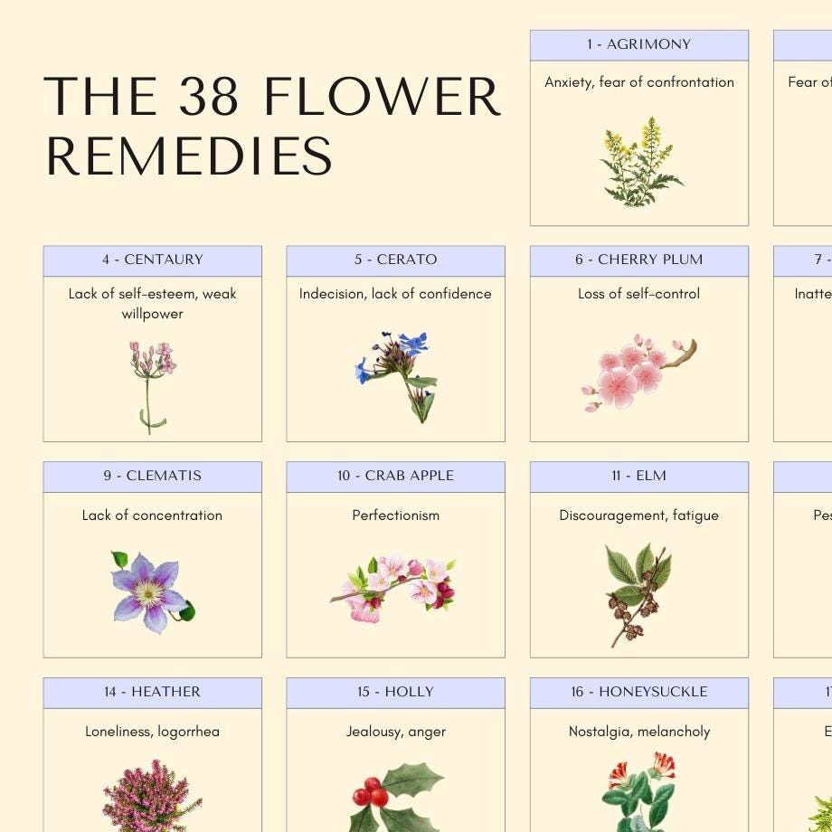 バッチフラワーレメディチャート：38種類のフラワーガイド（デジタル