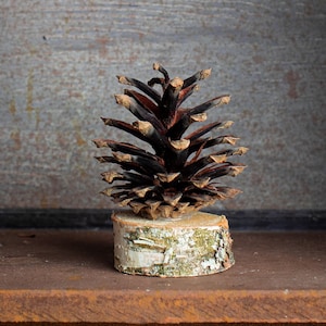 Titular de la tarjeta de nombre de Navidad, tarjeta de lugar de boda rústica, decoración de mesa rústica, decoración de cono de pino, madera natural sostenible
