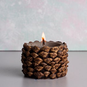 Pinecone Beton Teelichthalter, Natürlicher Öko Holz Pflanzer, Rustikale Fenster Tischdekor, Beton Teelichthalter, Nachhaltiges Zuhause Geschenk