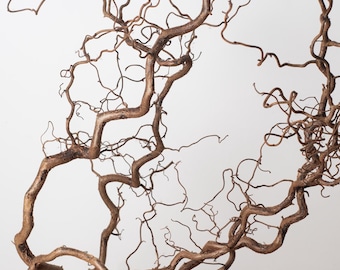 Natural Twisted Hazel Branches | 35" Curly Corylus Twigs | Decorative Dried Branches for Floor Vase