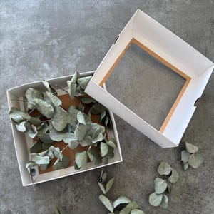 Dried Eucalyptus Cinerea Branches | Eucalyptus For Crafts | Wedding Decor | Mini Vase Decoration | Sustainable Gift | Eucalyptus In A Box