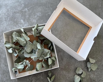 Dried Eucalyptus Cinerea Branches | Wedding Decor, Crafts, Mini Vase Styling (Boxed)