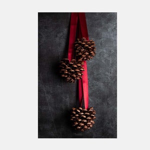 Christmas pinecone door hanger, Giant jumbo pinecones, Door hanging set of 3 giant pine cones, Christmas decor, Natural Christmas garland image 2