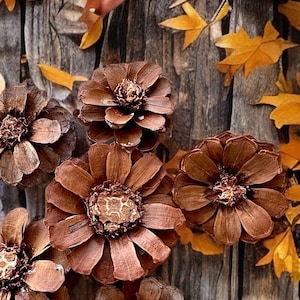Op de afbeelding: Zes bruine dennenappels gerangschikt in de vorm van een bloem op een rustieke houten achtergrond. De dennenappels zijn gerangschikt in een cirkel met de punten naar buiten gericht. De dennenappels zijn van nature bruin van kleur en hebben een ruwe textuur.