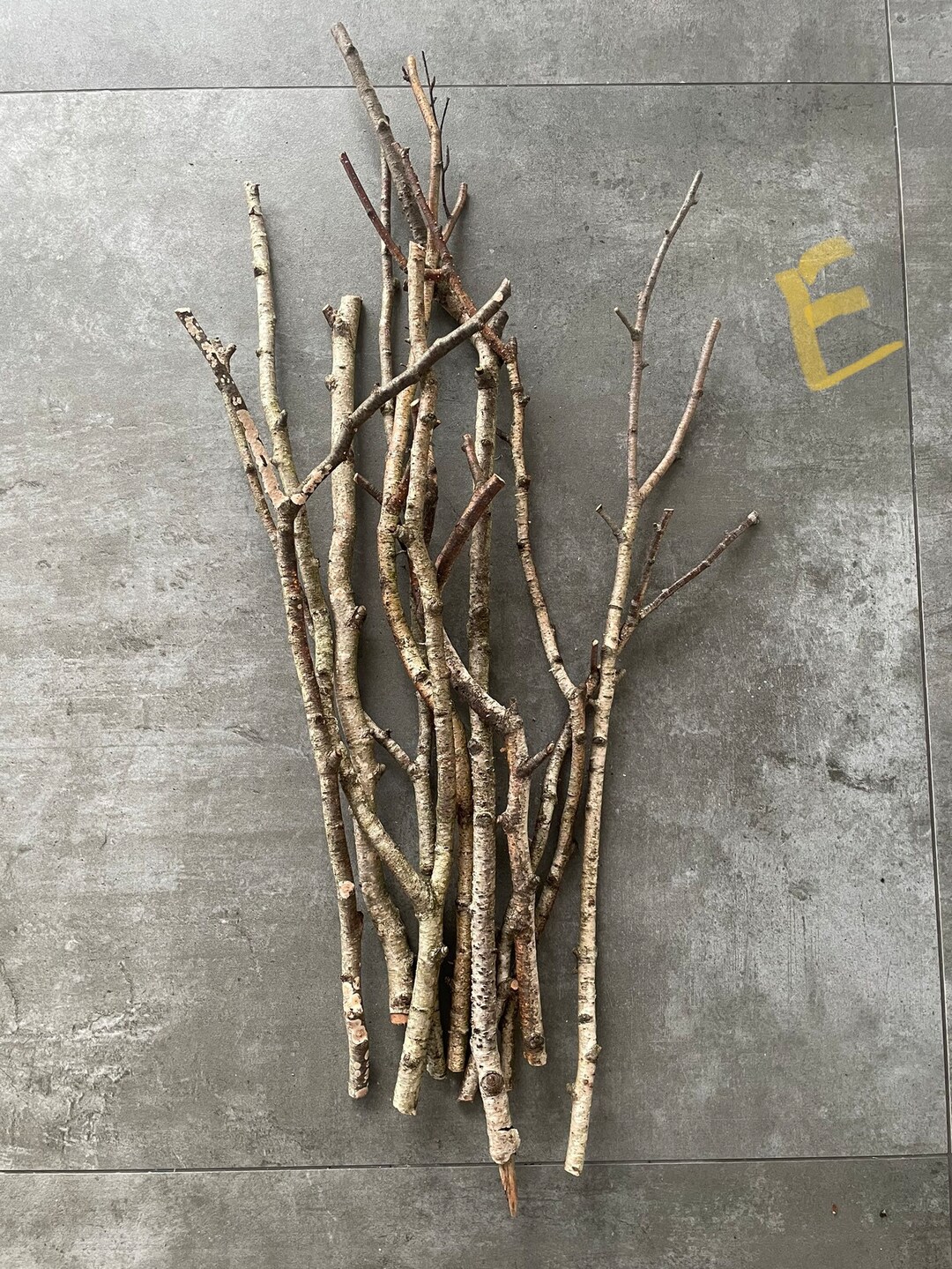 Birch Sticks, White Birch Poles, Natural Dried Birch Branches, Natural