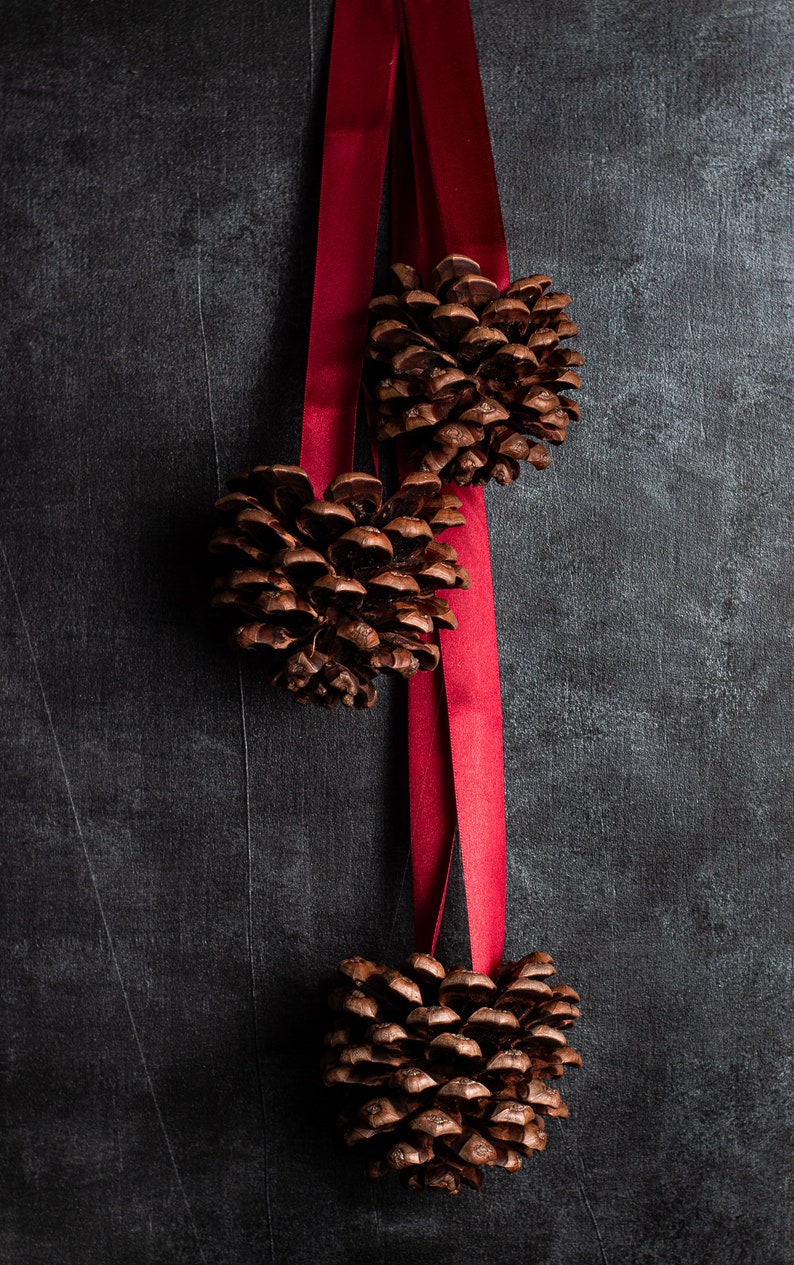 Christmas pinecone door hanger, Giant jumbo pinecones, Door hanging set of 3 giant pine cones, Christmas decor, Natural Christmas garland image 3