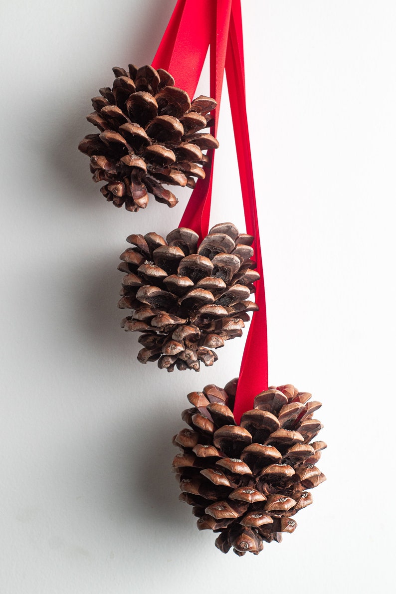 Christmas pinecone door hanger, Giant jumbo pinecones, Door hanging set of 3 giant pine cones, Christmas decor, Natural Christmas garland image 6