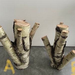 Birch Branch Decor | Natural Birch Sticks | Unique Birch Poles | Birch Wood Logs | Rustic Birch Branches | White Birch Accents | Birch Wood