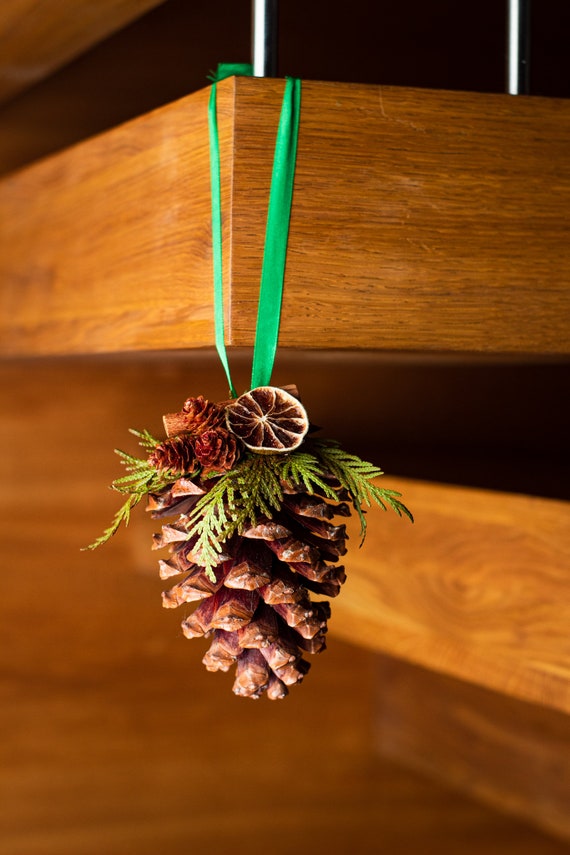 Jumbo pine cones for crafts Christmas Pine Cone Large Pine Cone For Crafts  - Helia Beer Co