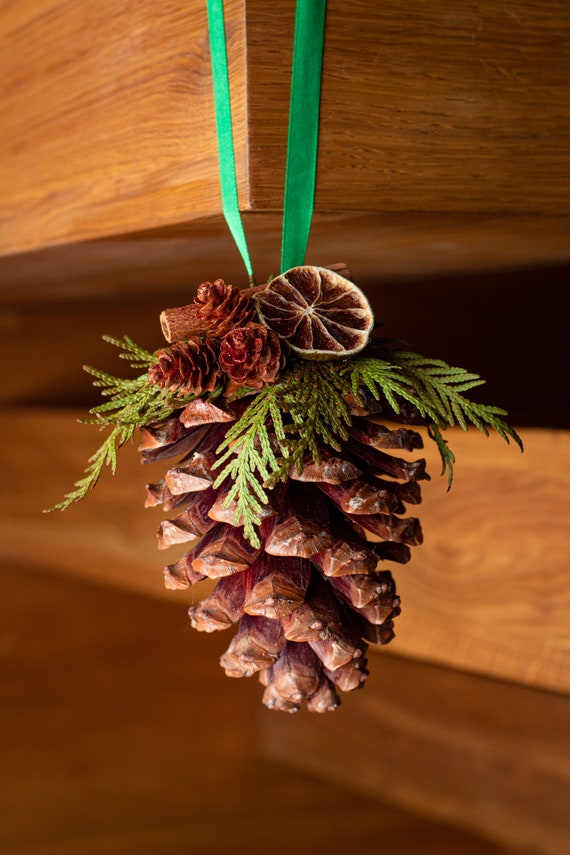 Lot De 12 Grosses Pommes De Pin Naturelles – 3-4.5 Pouces, Déco Noël, Artisanat, Automne, Hiver, Table & Arbre