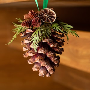 Jumbo Giant pinecone, Pinecone ornaments, Natural Christmas tree toys, Window pinecone decoration, Large pinecones, Christmas hanging decor