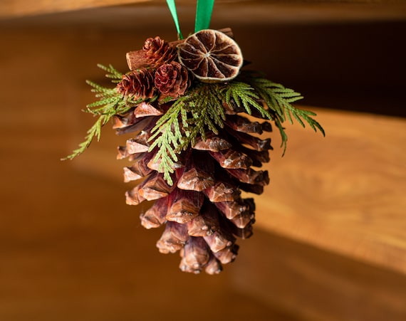 Jumbo Giant Pinecone, Pinecone Ornaments, Natural Christmas Tree