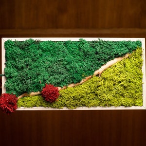 Einzigartige Moos Wandkunst, hängende Wanddekor, Veranda Dekor, hängende natürliche Dekor, Moos Rahmen, Naturholz Rahmen Dekor, Öko Wohndekor