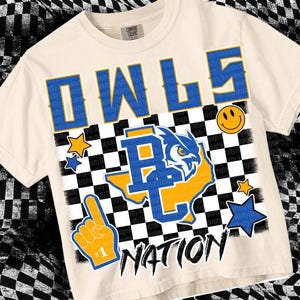 Retro Grunge Mascot- RC OWLS NATION png - School Spirit