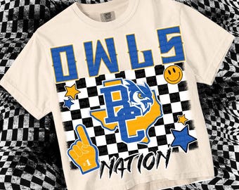 Retro Grunge Mascot- RC OWLS NATION png - School Spirit
