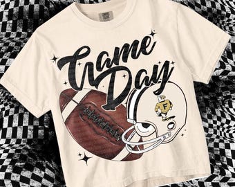 Vintage Game Day- PNG File - Falcons - Mascots