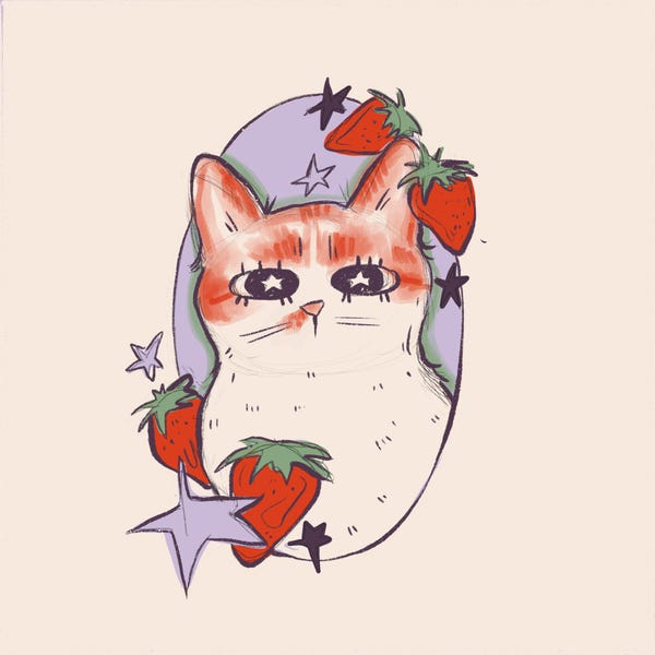 Custom Whimsical Pet Illustration