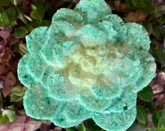 Succulent Bath Bomb