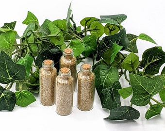 May include: Four small glass bottles with cork tops filled with a light brown substance. The bottles are arranged in a circle on a white surface with green ivy leaves around them.