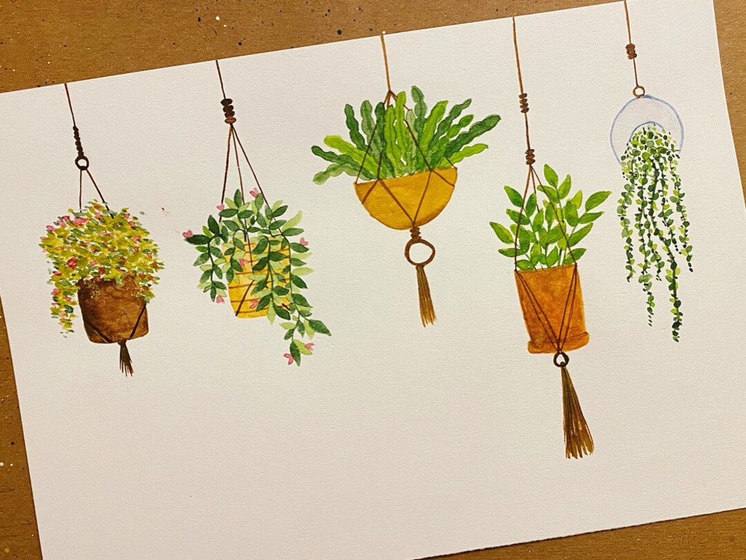 7x10 Hanging Plants Etsy