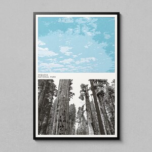 Sequoia Poster - National Park Poster - Iconic Landscapes - Sequoia Art - National Park Prints - Sequoia Print