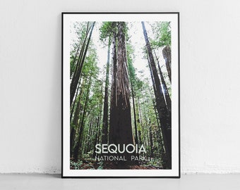 Sequoia National Park Wall Art Print - Tree Wall Art - California Art Print - Sequoia Wall Art - National Park Art - Hiker Gift