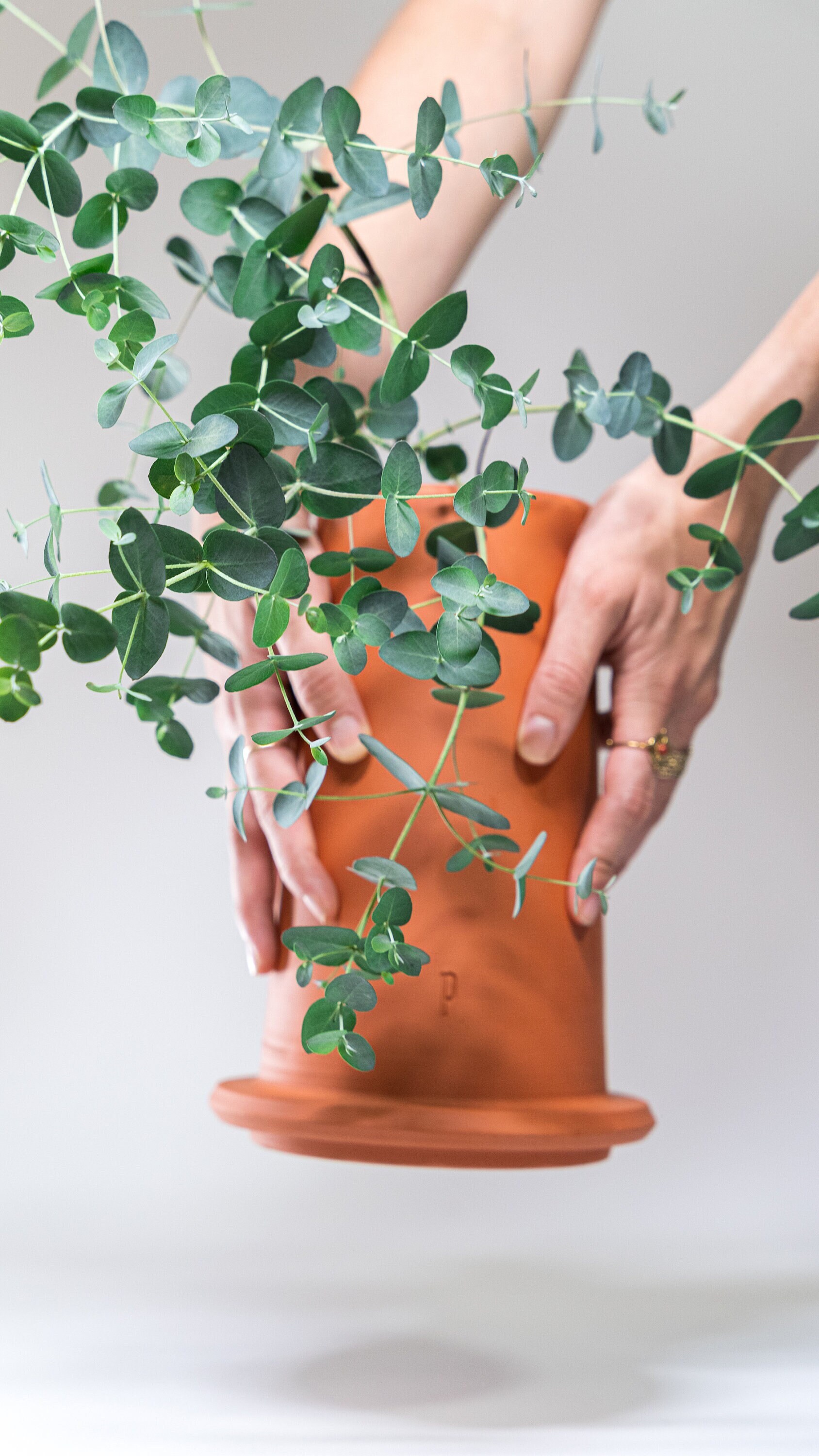 Maxi-Mitrons L - Pot