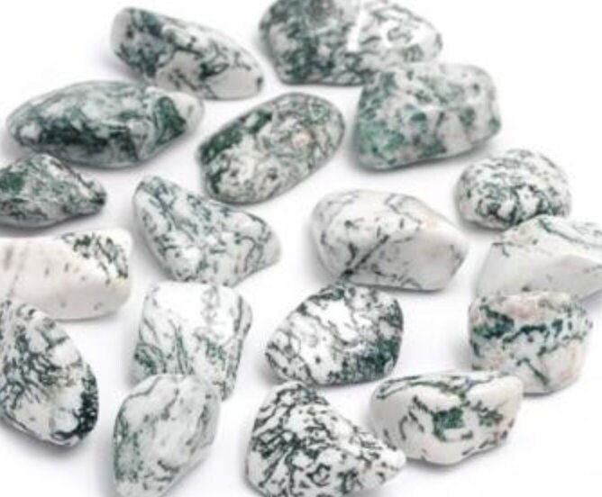 Pierre Du Jardinier - Agathe Mousse Roulé -